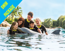 Discovery Cove Dolphin Swim Package