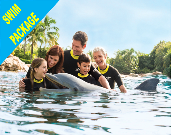 Discovery Cove Dolphin Swim Package + SeaWorld / Aquatica - PRICES FROM