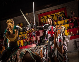 Medieval Times Dinner & Show