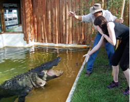 Gatorland Trainer-for-a-Day