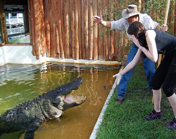 Gatorland Trainer-for-a-Day