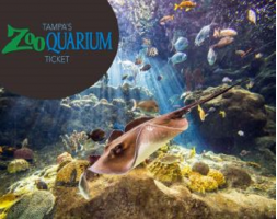 Tampa's ZooQuarium Ticket