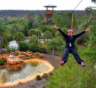 Top 10 Things to do at Gatorland