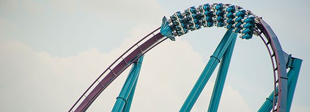 Mako Coaster