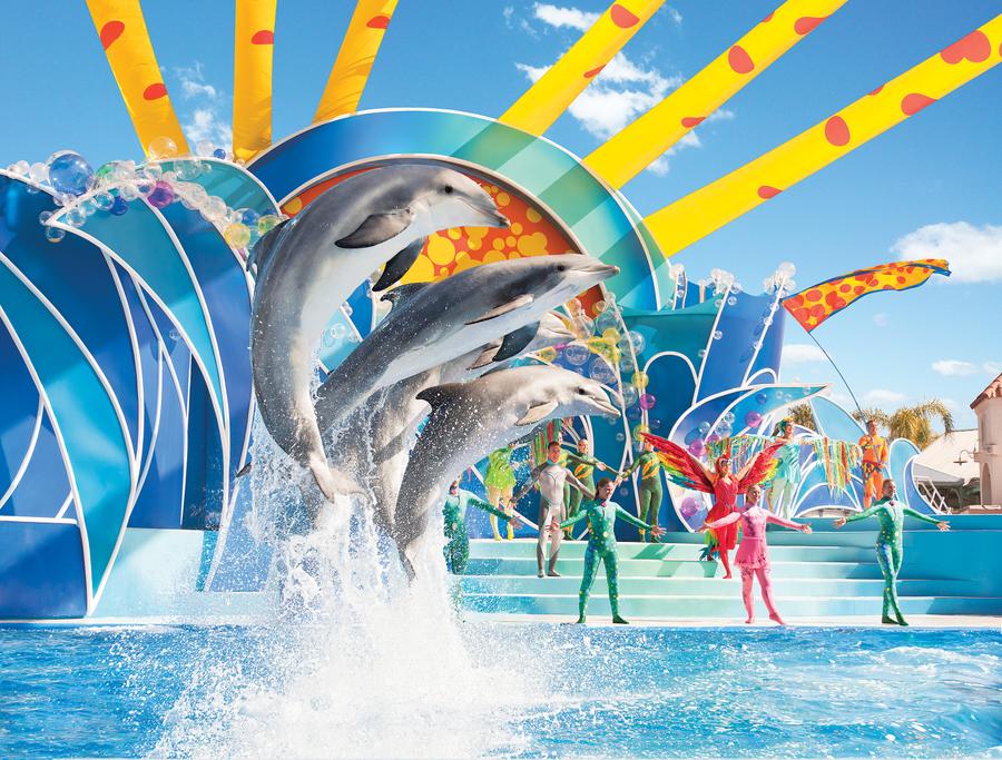 SeaWorld Orlando Attractions