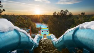 disney water parks going virtual