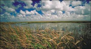 everglades adventures